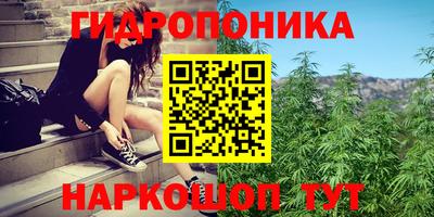 jwh Апшеронск
