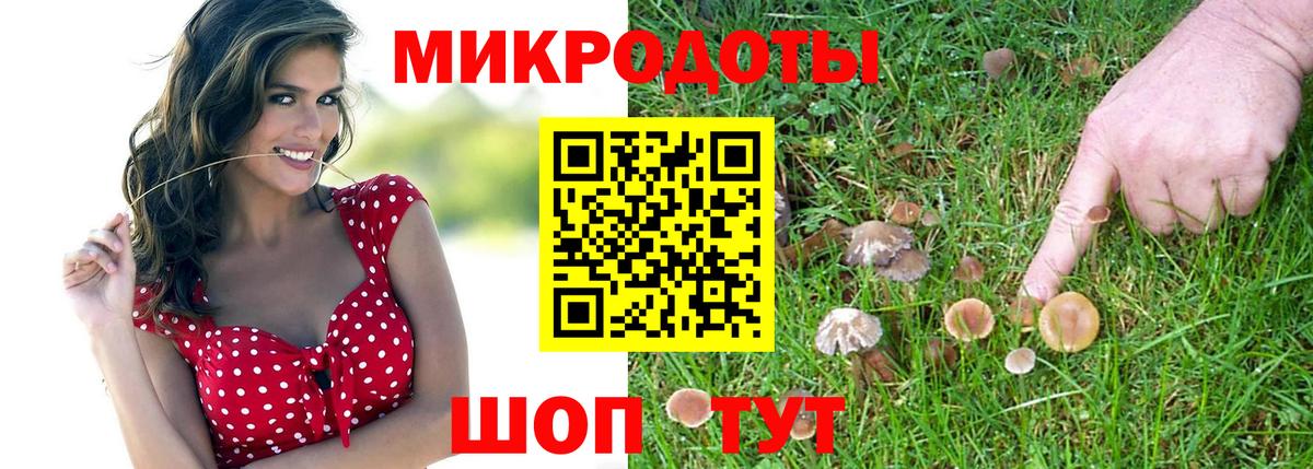 Горячий Ключ  Галлюциногенные грибы GOLDEN TEACHER  сколько стоит  Вход с VPN 